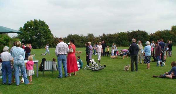 04-RipDogs07