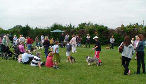 05-RipDogs07