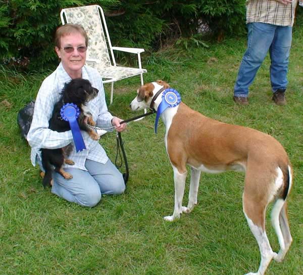 06-RipDogs07