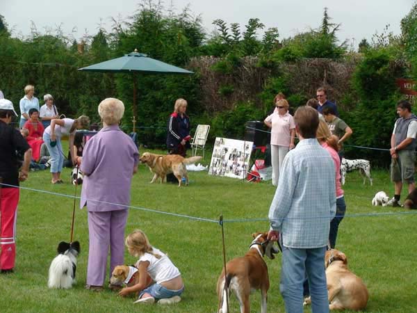 07-RipDogs07