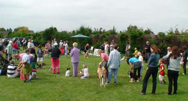 08-RipDogs07