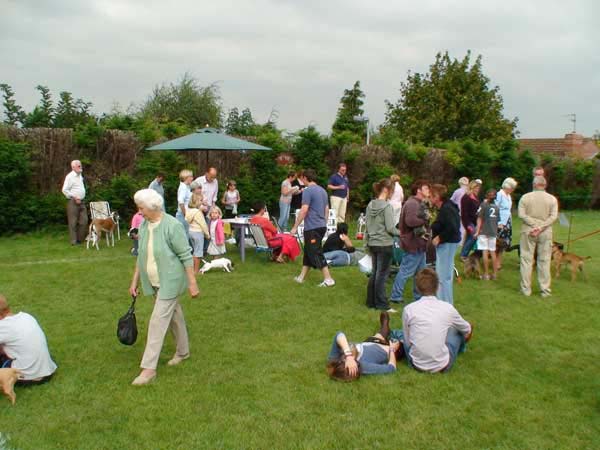 10-RipDogs07