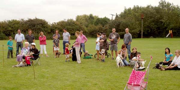 11-RipDogs07