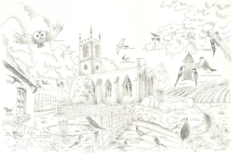 Flora and Fauna of Rippingale - Alison Atkins